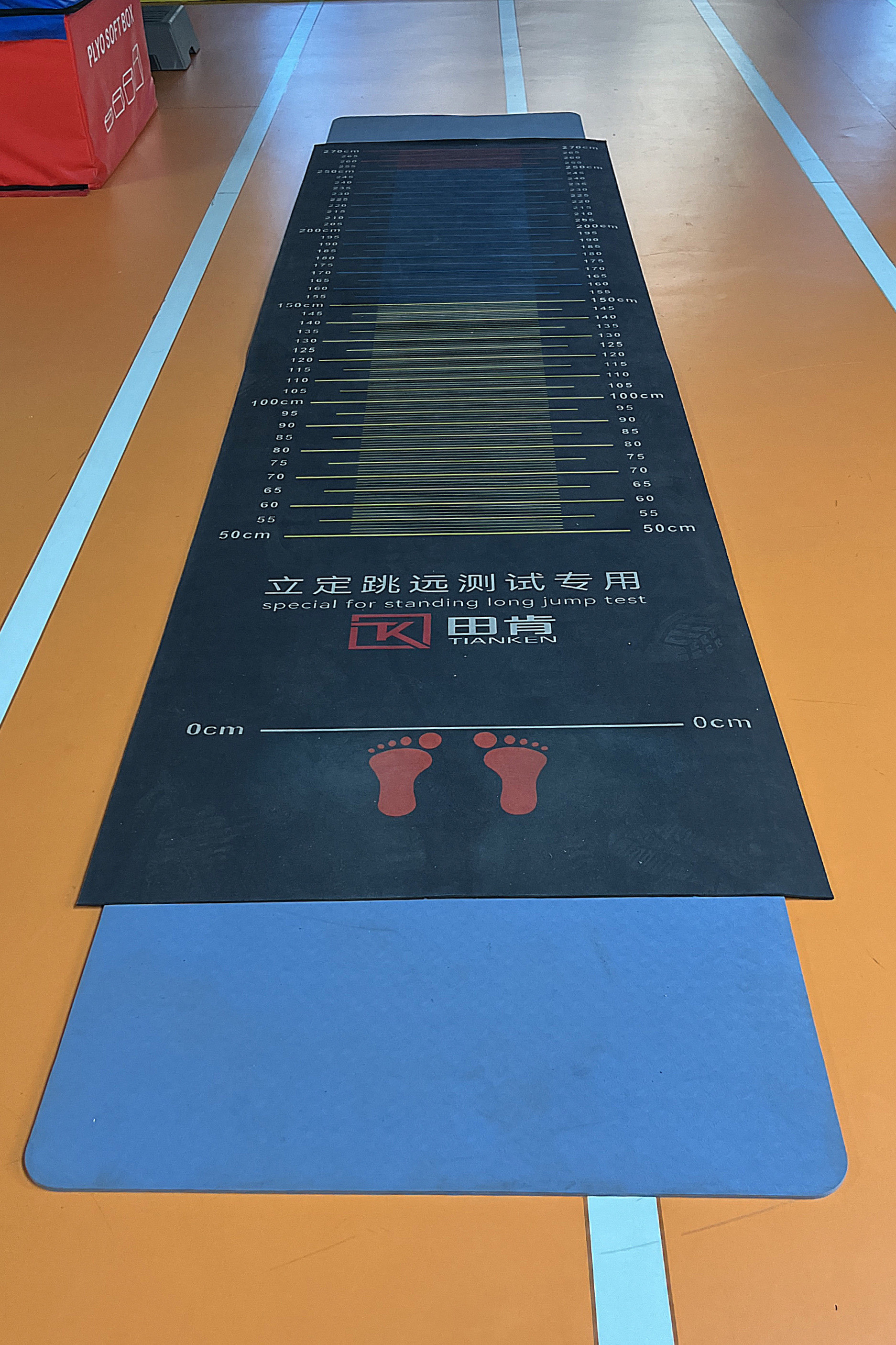 关于冲刺阶段体能课后，底特律活塞远射贴柱备战德国杯，底气十足，阵容厚度经受考验的信息